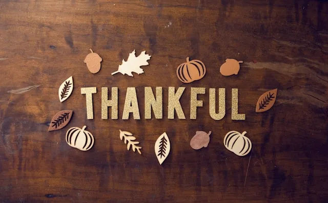 Thanksgiving and the Art of Gratitude: Deals, Music, and a Toast to the Heroes